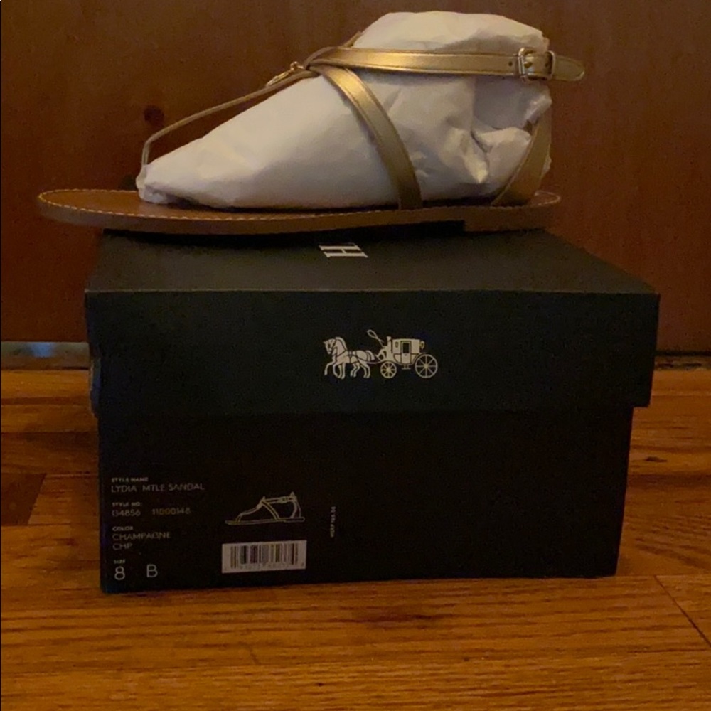 Coach Thong Sandal